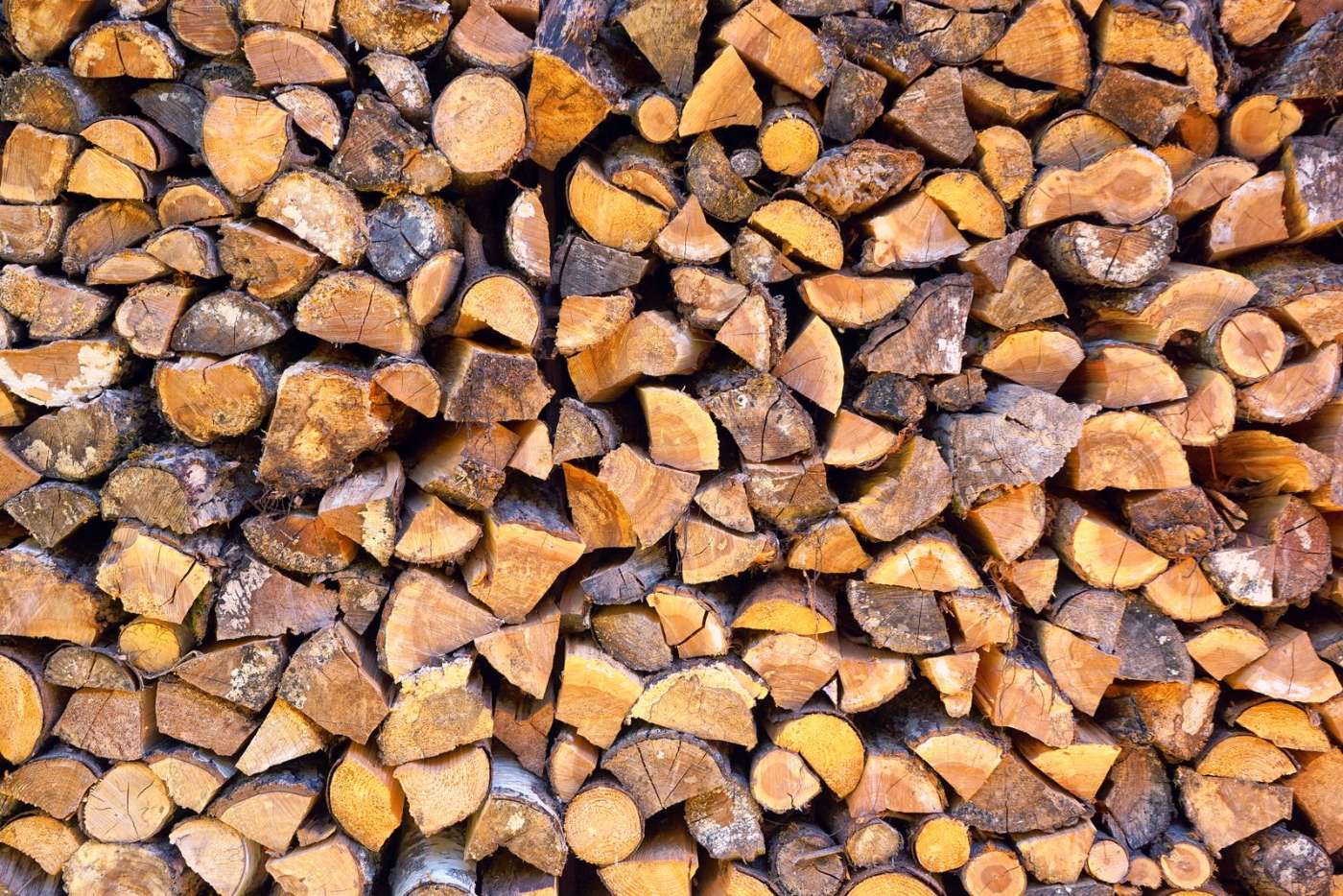 Split, seasoned hardwood firewood stacked and ready