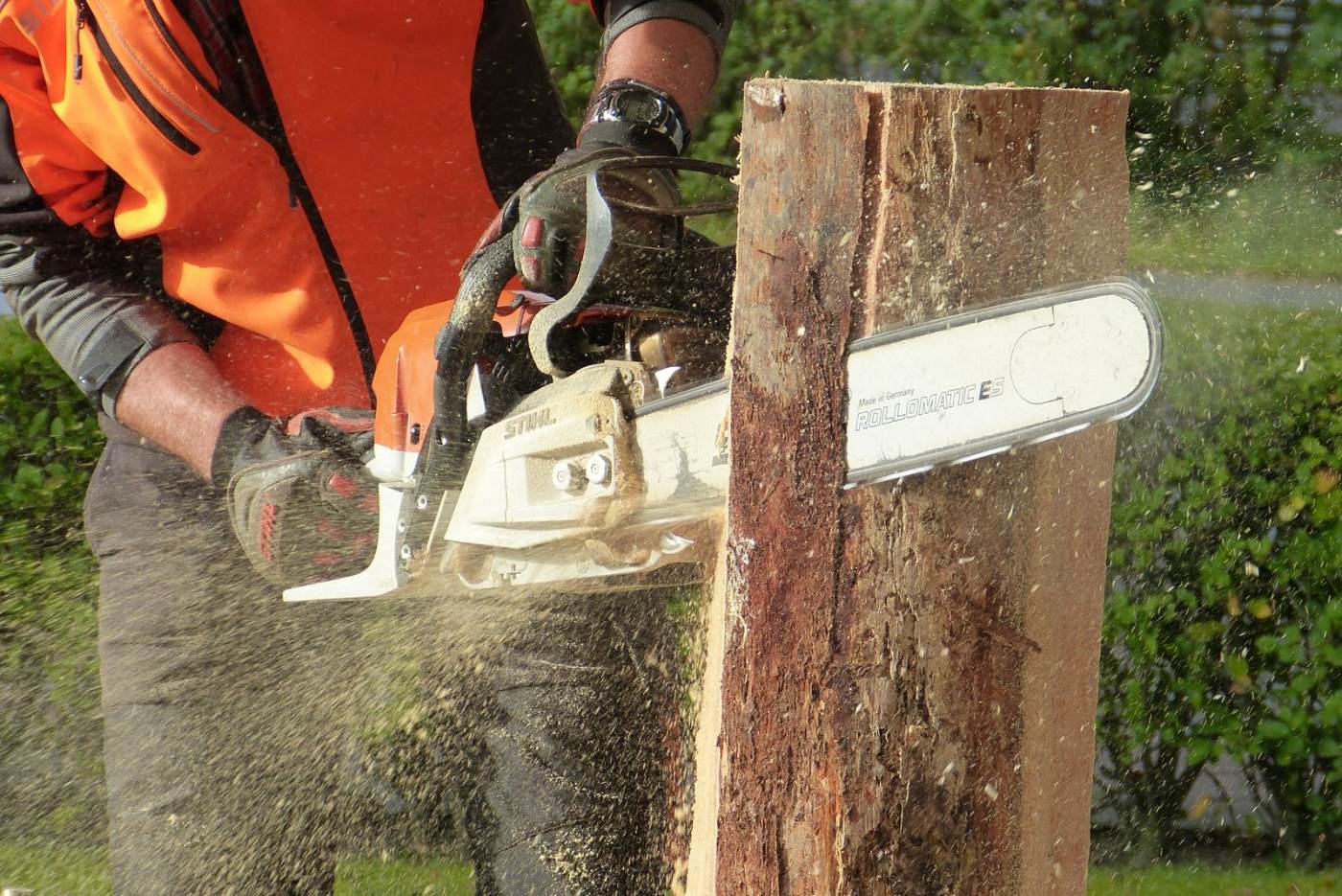 Arborist sectioning a tree with a chainsaw, sawdust flying