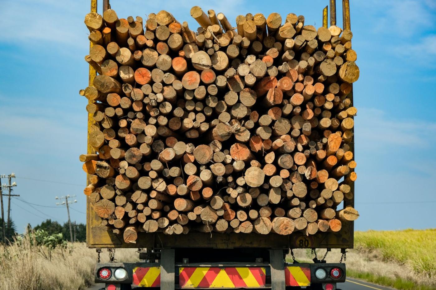 Truck loaded out with timber headed for milling and firewood